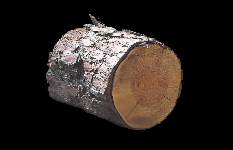 Online Forum Image